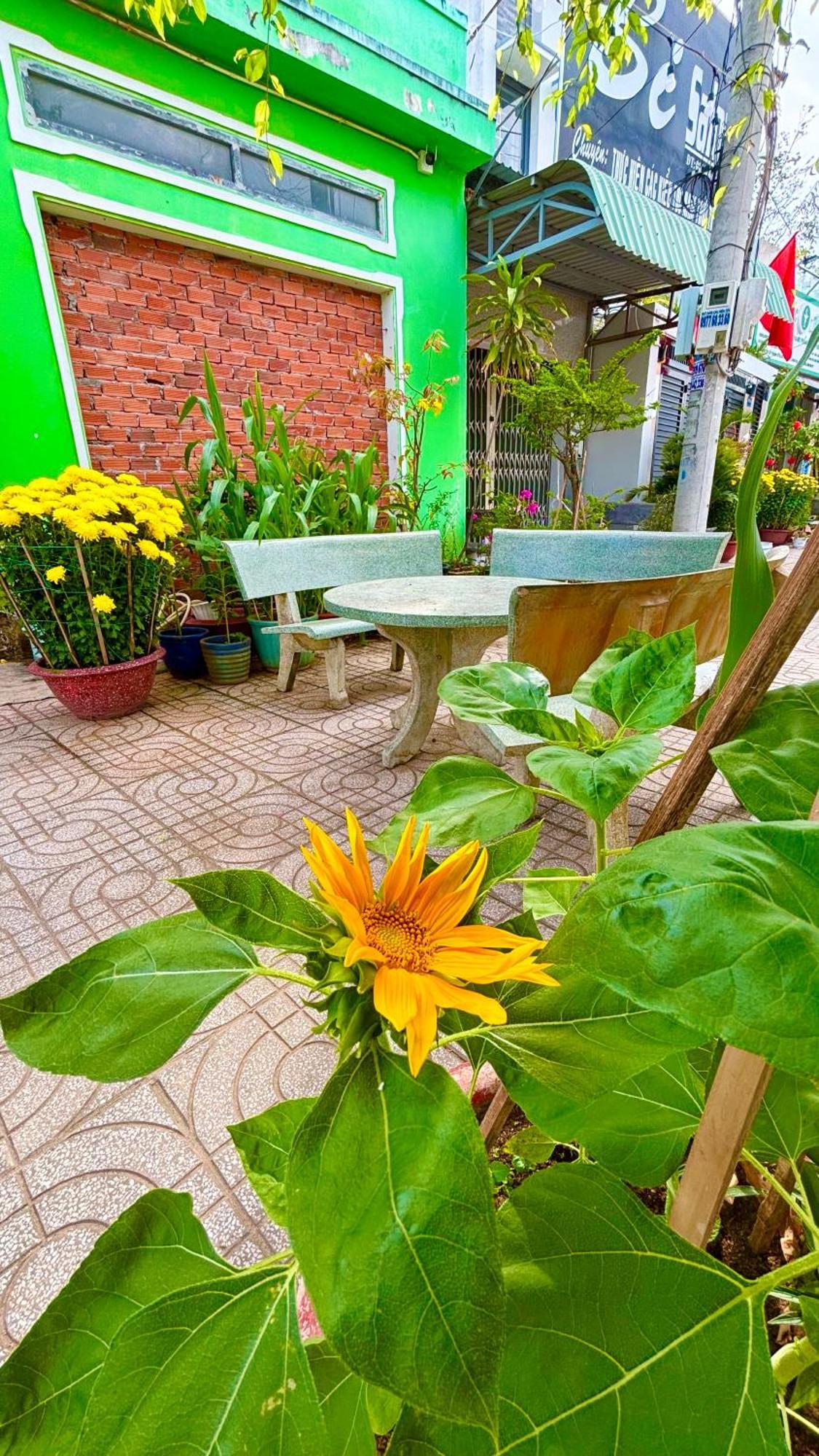 Thuy Hang Motel Long Hai Buitenkant foto
